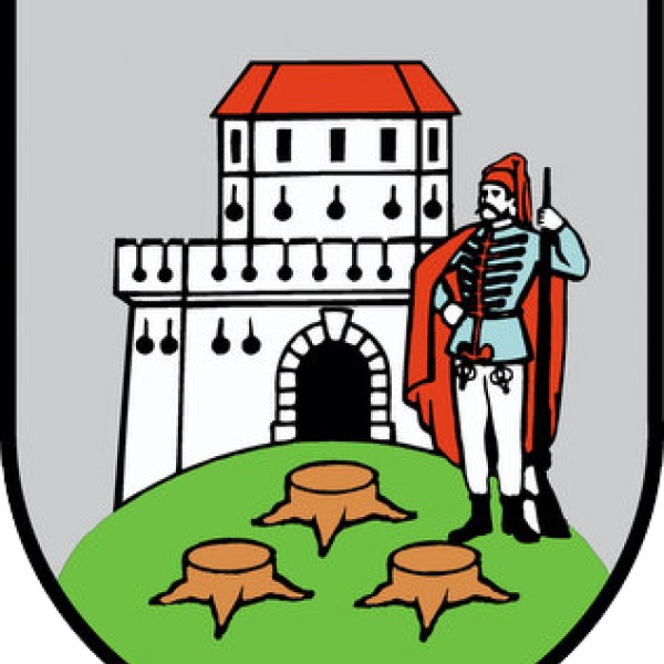 “Naša snaga - Naša zajednica” , “Mobilnost bez prepreka” - dva nova projekta odobrena od grada Bjelovar